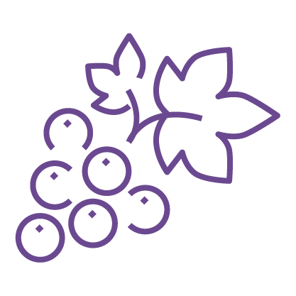 grape icon